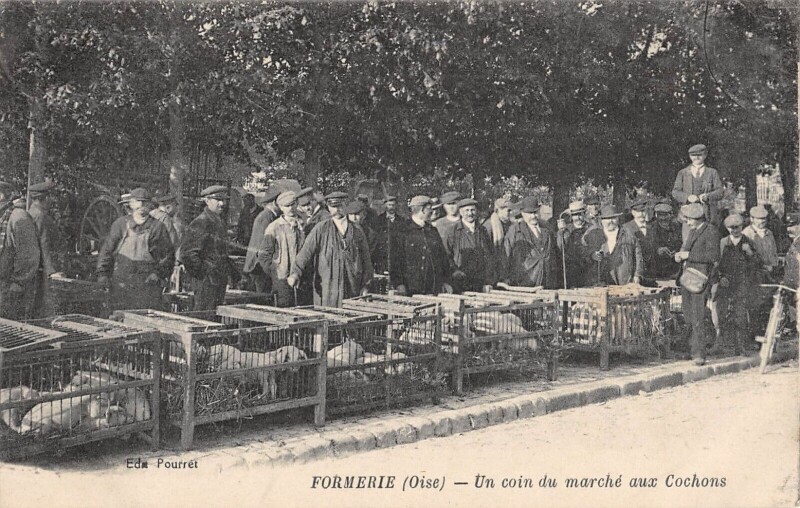 Carte postale ancienne Formerie / Un Coin Du Marche Aux Cochons à Formerie