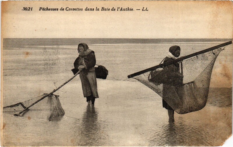 Carte postale ancienne Berck-Plage Pecheuses de Crevettes dans la Baie d'Authie à Berck