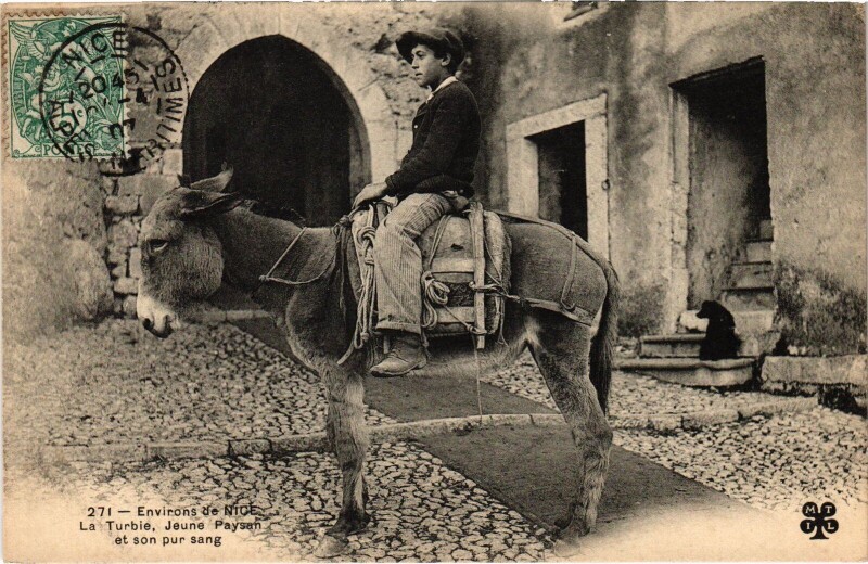 Carte postale ancienne La Turbie jeune paysan et son pur sang ane à La Turbie
