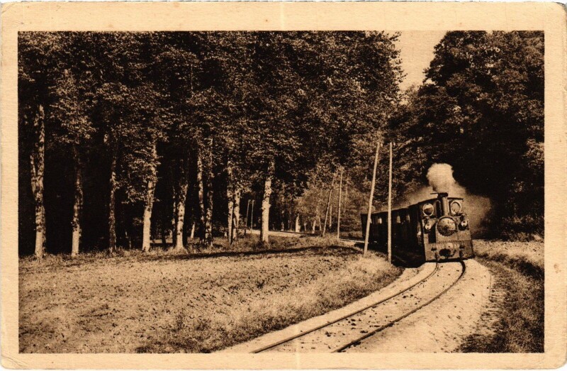 Carte postale ancienne Ecole de Pont-Levoy Le Petit Bois