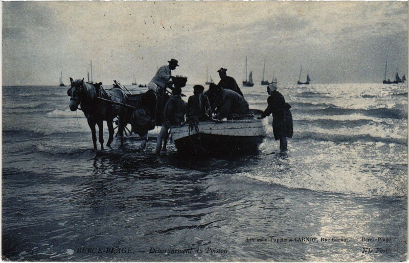Carte postale ancienne Berck-Plage Debarquement du POisson à Berck