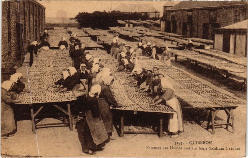 Carte postale ancienne Quiberon Femmes des Usines mettant leurs Sardines à Quiberon