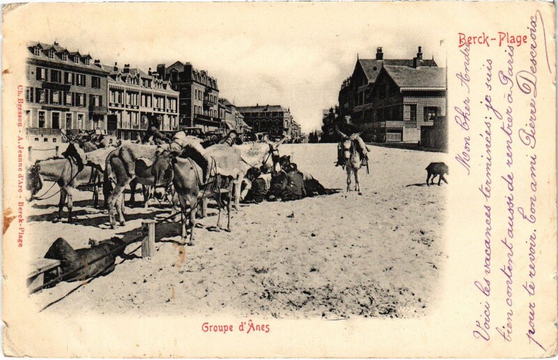 Carte postale ancienne BErck-Plage groupe d'Anes à Berck