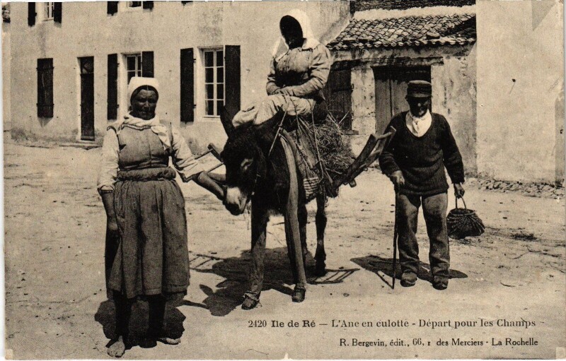 Carte postale ancienne Ile de Ré Ane en coulotte départ pour les champs