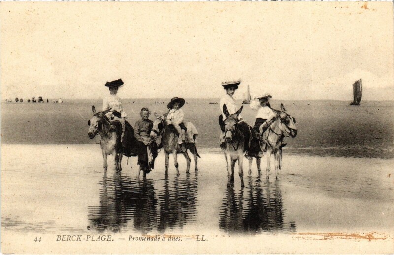 Carte postale ancienne Berck-Plage Promenade a anes à Berck