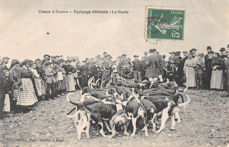 Carte postale ancienne Chasse A Courre - Equipage D'Halatte - La Curee - Chasse