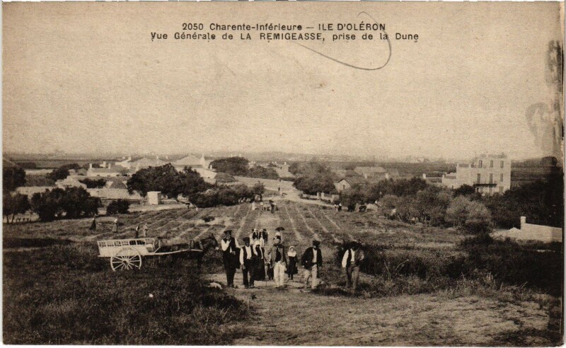 Carte postale ancienne Ile d'Oléron La Remigeasse vue générale