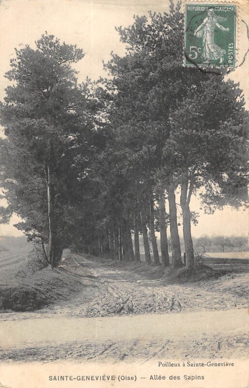 Carte postale ancienne Saint Genevieve - Allee Des Sapins