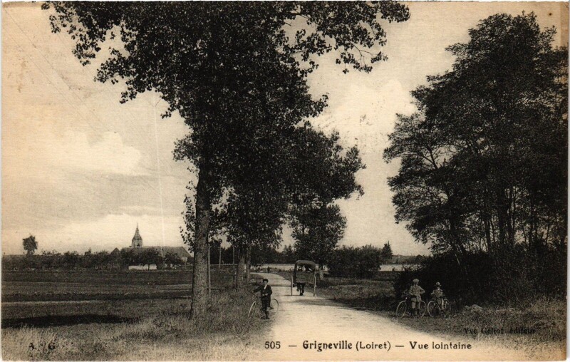 Carte postale ancienne Grigneville Vue lointaine