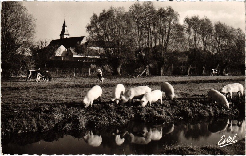 Carte postale ancienne Bourdonne Bords dela Vesgre