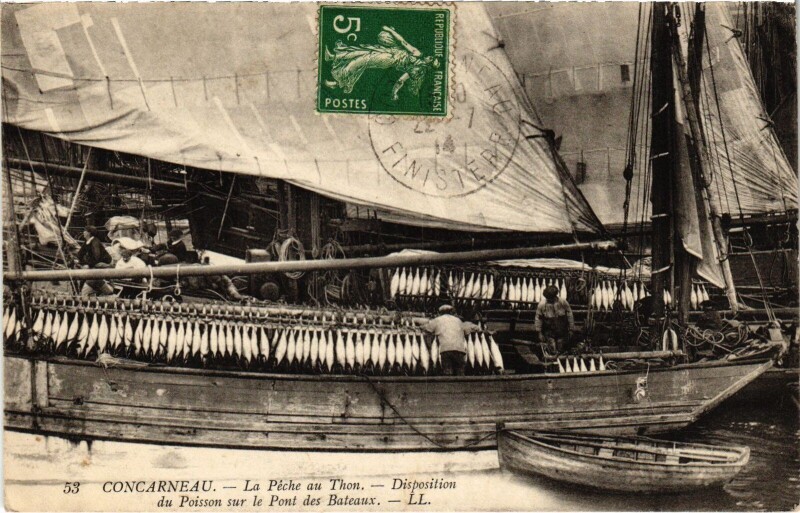 Carte postale ancienne Concarneau Peche au Thon dispo du Poisson sur le pont des bateaux à Concarneau