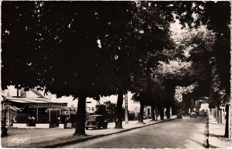 Carte postale ancienne Ponthierry Avenue de Fontainebleau à Fontainebleau