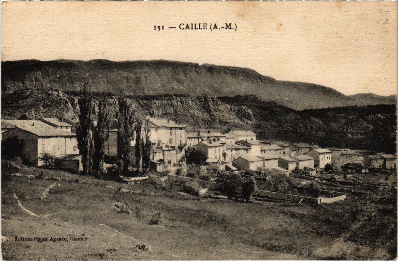 Carte postale ancienne Caille à Caille