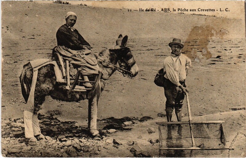 Carte postale ancienne Ile de Ré Ars la peche aux crevettes