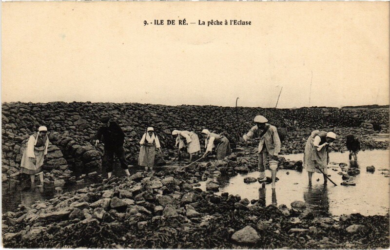 Carte postale ancienne Ile de Ré La peche a l'Ecluse