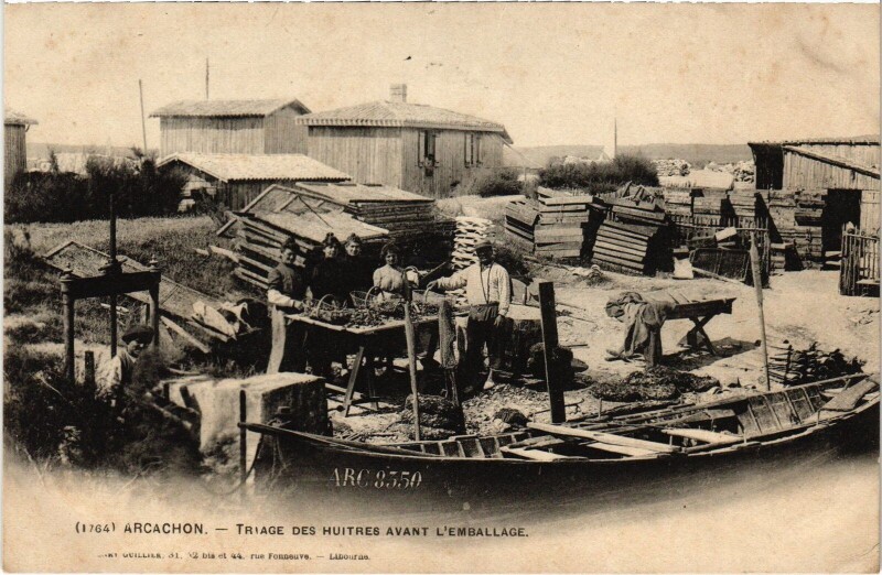 Carte postale ancienne Arcachon Triage des huitres avant l'emballage à Arcachon