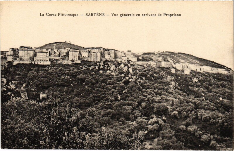 Carte postale ancienne Sartene Vue Generale