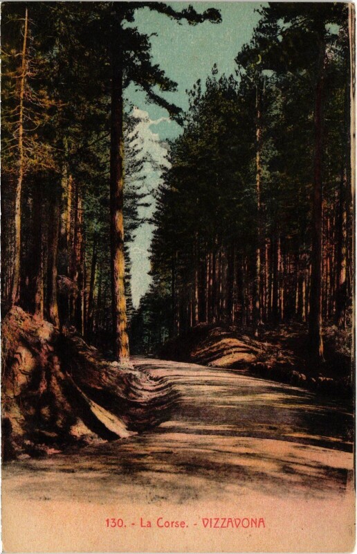 Carte postale ancienne Vizzavona - Road Scene
