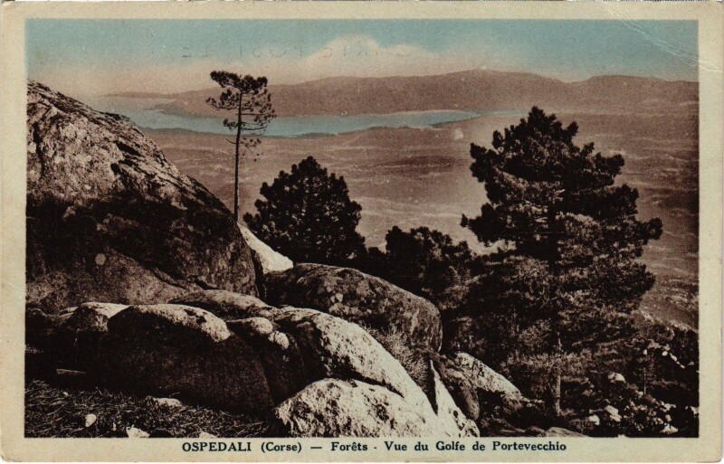 Carte postale ancienne Porto-Vecchio Ospedali - Forets - Vue du Golfe de Porto-Vecchio