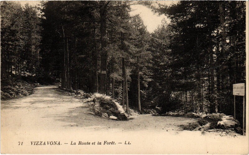 Carte postale ancienne Vizzavona - La Route et la Foret