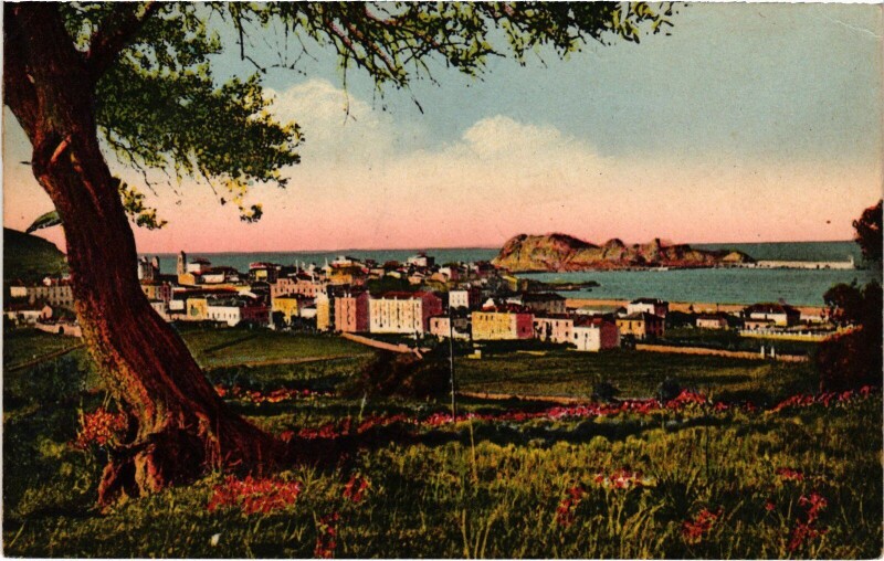 Carte postale ancienne Ile-Rousse Vue Generale