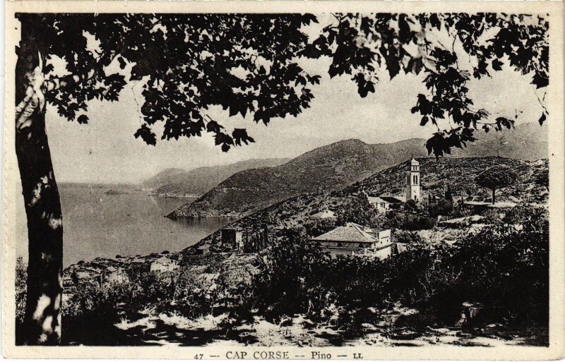 Carte postale ancienne Pino Vue Generale
