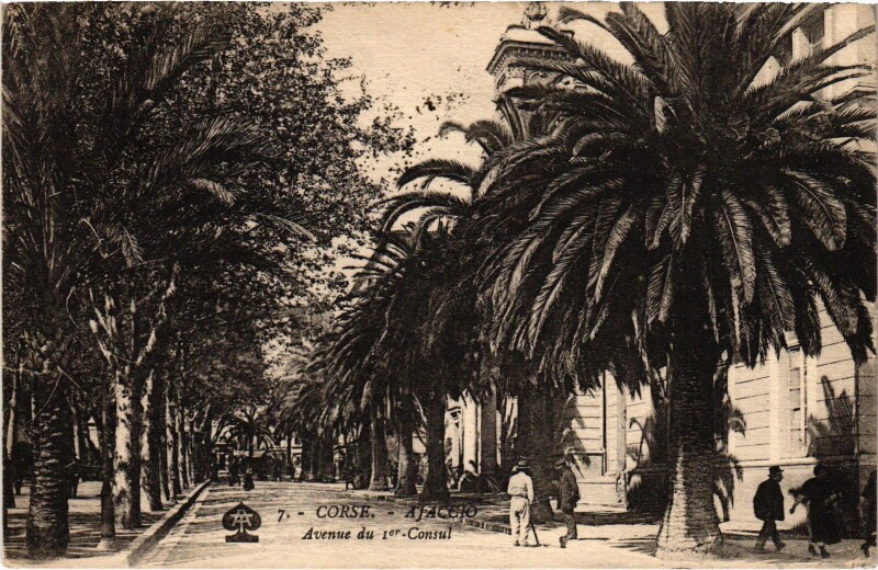 Carte postale ancienne Ajaccio Avenue du I. Consul à Ajaccio