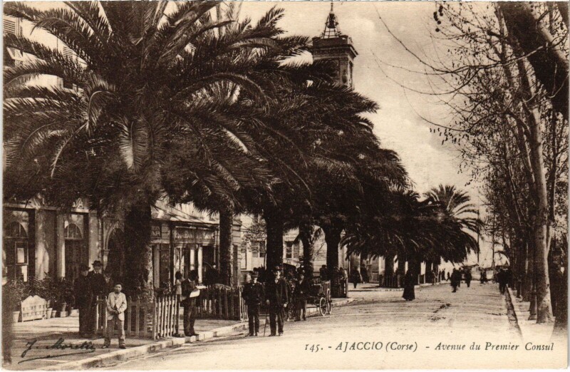 Carte postale ancienne Ajaccio Avenue du Premier Consul à Ajaccio