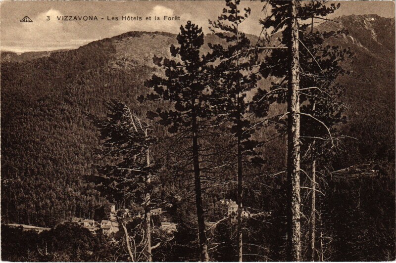 Carte postale ancienne Vizzavona - Les Hotels et la Foret