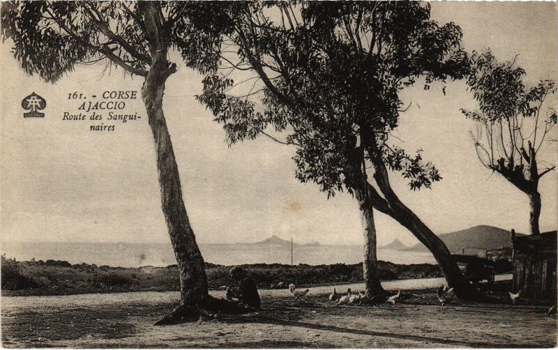Carte postale ancienne Ajaccio Route des Sanguinaires à Ajaccio