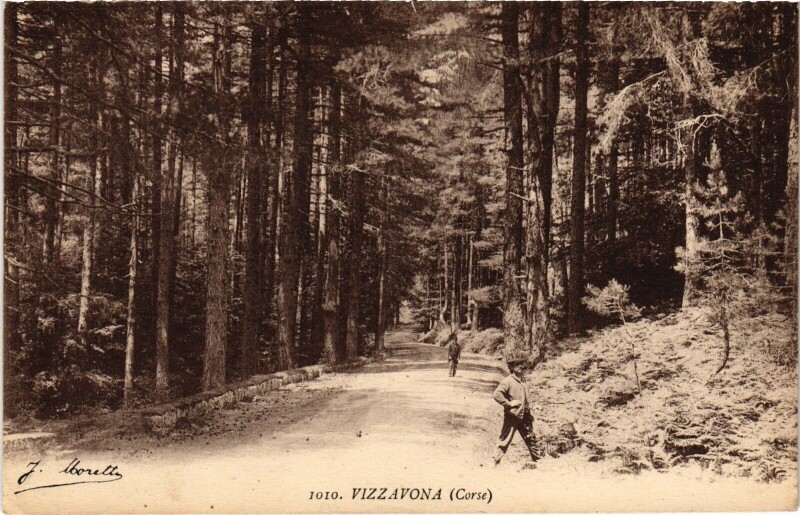 Carte postale ancienne Vizzavona - Road Scene