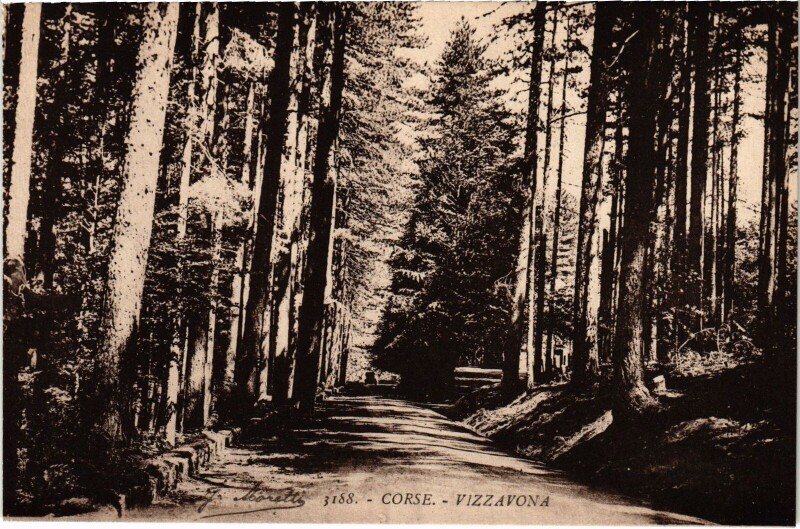 Carte postale ancienne Vizzavona - Road Scene
