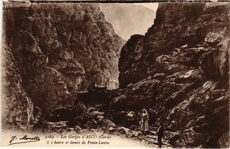 Carte postale ancienne Les Gorges d'Asco