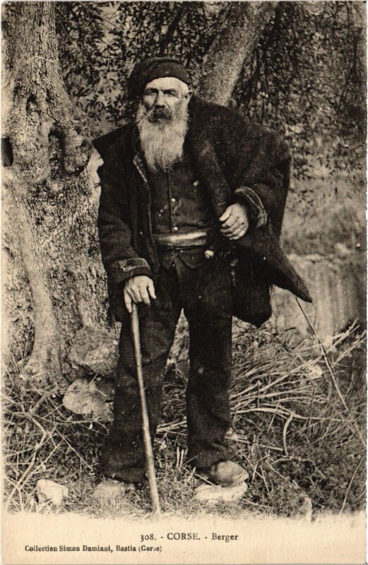 Carte postale ancienne Berger - Type