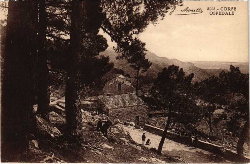 Carte postale ancienne Ospedale - Houses