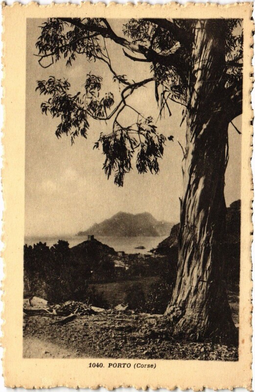 Carte postale ancienne Porto Panorama