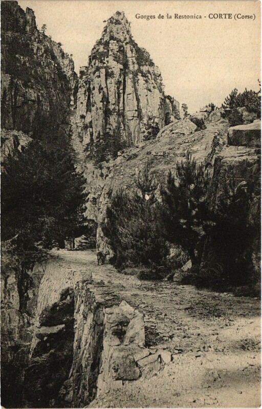Carte postale ancienne Corte Gorges de la Restonica à Corte