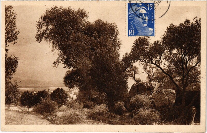 Carte postale ancienne Ajaccio La Grotte Napoleon - Le Casone à Ajaccio