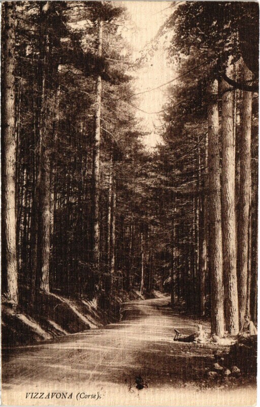 Carte postale ancienne Vizzavona - Road Scene