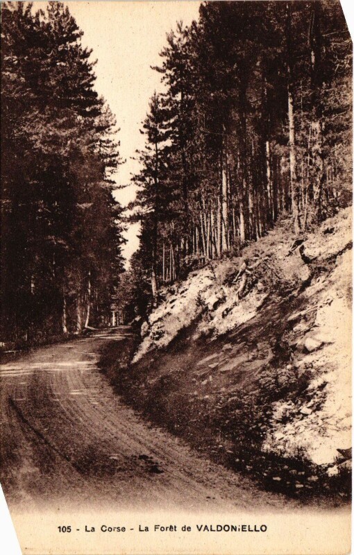 Carte postale ancienne La Foret de Valdoniello