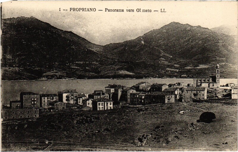 Carte postale ancienne Propriano Panorama