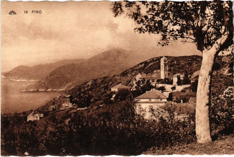 Carte postale ancienne Pino Vue Generale