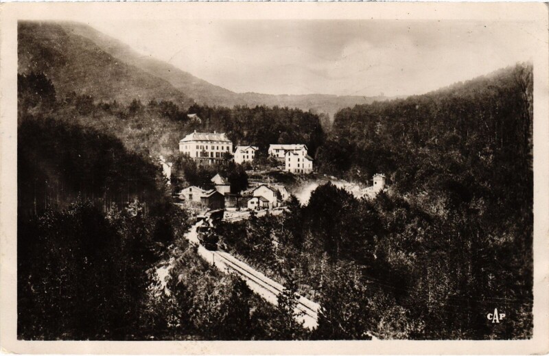 Carte postale ancienne Vizzavona - La Foret