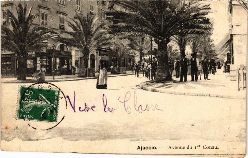 Carte postale ancienne Ajaccio Avenue du Ier Consul à Ajaccio