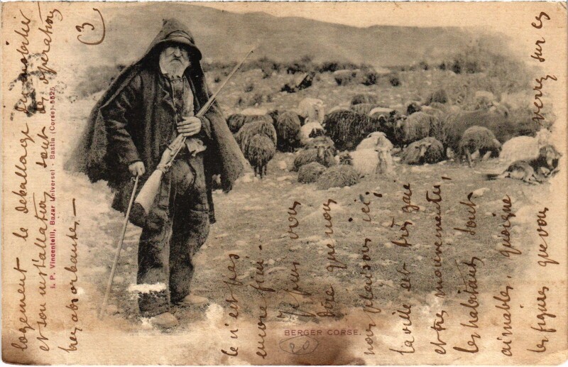 Carte postale ancienne Berger Corse