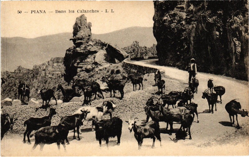 Carte postale ancienne Piana Dans les Calanches