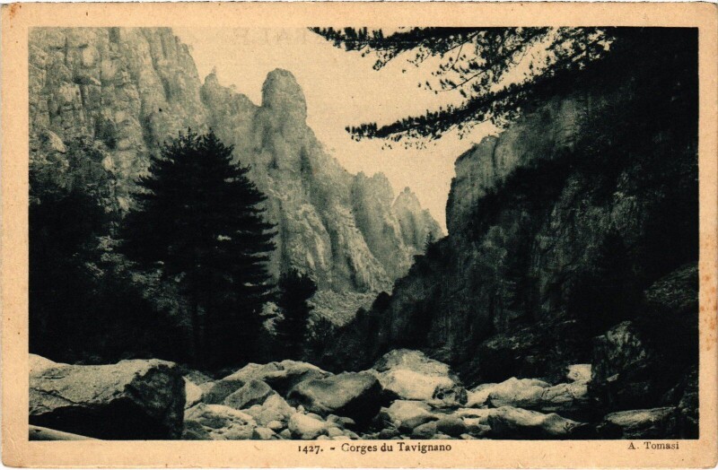 Carte postale ancienne Gorges du Tavignano