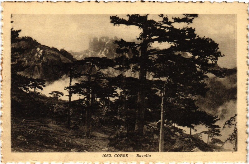Carte postale ancienne Bavella - Landscape