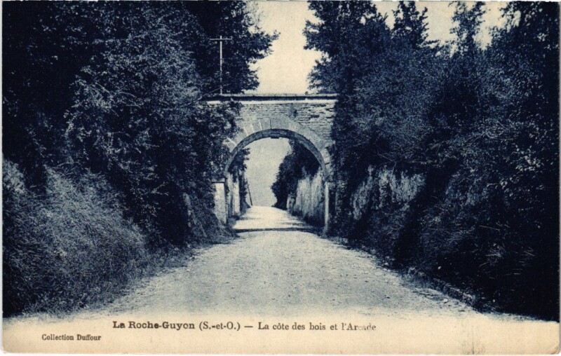 Carte postale ancienne La Roche-Guyon La cote des bois et l'Arcade France à La Roche-Guyon
