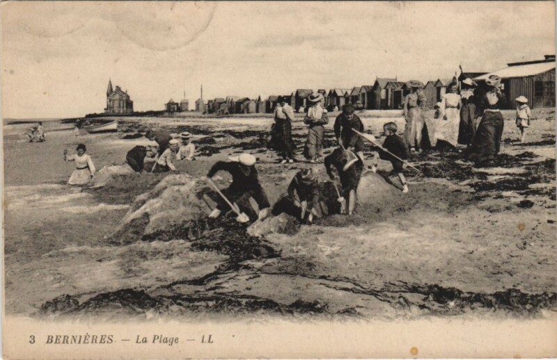 Carte postale ancienne Bernieres-sur-Mer La Plage